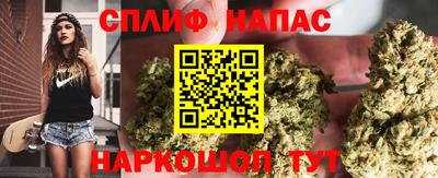 стаф Шебекино