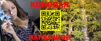 сатива Чебоксары